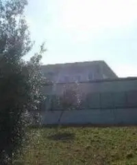 Vendita Capannone in via di colonna, colle mainello