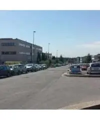 Vendita Capannone in via degli Olmetti Vendita Capannone in via degli Olmetti