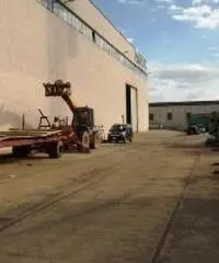 Vendita Capannone in via Alfio Flores n. 15 Vendita Capannone in via Alfio Flores n. 15