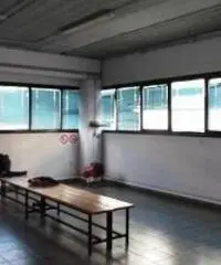 Vendita Capannone in via Alfio Flores n. 15 Vendita Capannone in via Alfio Flores n. 15