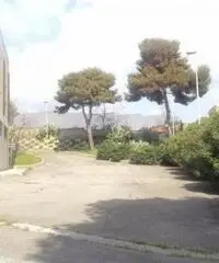 Vendita Capannone in VIa Braccianese Claudia Vendita Capannone in VIa Braccianese Claudia