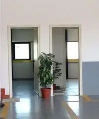 Vendita Capannone in Via delle Industria Vendita Capannone in Via delle Industria