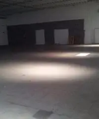 Vendita Capannone in Via Lucrezia Romana