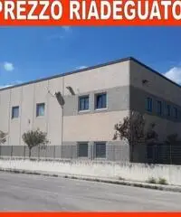 Vendita Capannone in Via Casilina km 48 Vendita Capannone in Via Casilina km 48