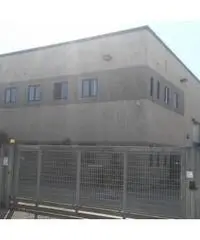 Vendita Capannone in Via Casilina km 48 Vendita Capannone in Via Casilina km 48