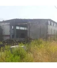 Vendita Capannone in Via Acciarella Vendita Capannone in Via Acciarella