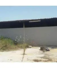 Vendita Capannone in Via Acciarella Vendita Capannone in Via Acciarella