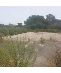 Vendita Capannone in Via Acciarella Vendita Capannone in Via Acciarella