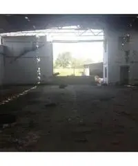 Vendita Capannone in Via Acciarella Vendita Capannone in Via Acciarella