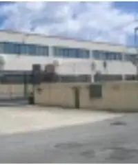 Vendita Capannone in Via Taormina Vendita Capannone in Via Taormina