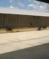 Vendita Capannone in Via Taormina Vendita Capannone in Via Taormina