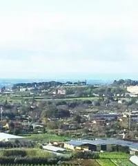 Vendita Capannone in Via di Mezzo