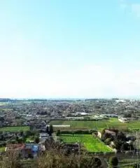 Vendita Capannone in Via di Mezzo