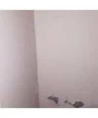 Vendita Magazzino in Via Ranucci