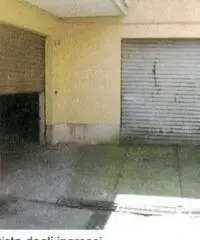 Vendita Magazzino in viale dei Cedri