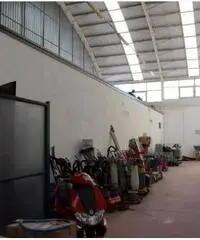 Vendita Capannone in Via Spineta