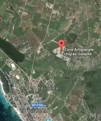 Vendita Capannone in loc ungias