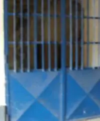 Capannone 400 mq. - Zona artigianale