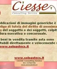 Capannone a Grugliasco - Rif. CS08986_NP