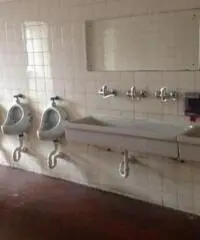 Capannone in Affitto a Bruino