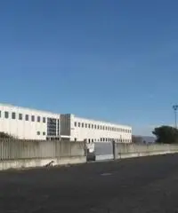 Rif: 001715042/06FLL1provincialeTOMC - Capannone in Vendita a Candiolo