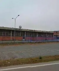 Rif: 0022605239/12FLLUtrinitàTOFD - Capannone in Vendita a Santena