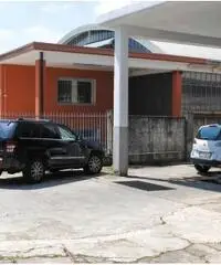 Rif: 011 - Capannone in Vendita a Beinasco