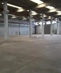 Rif: Capuano - Capannone in Affitto a Moncalieri