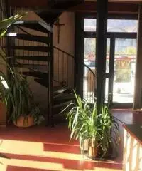 Vendita Capannone da 1200mq