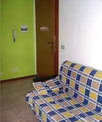 Appartamento di 1 locali in Affitto