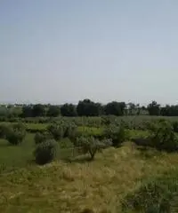 Appartamento a Santa Maria Imbaro in provincia di Chieti