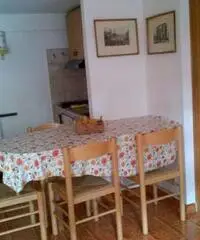 Appartamento di 1 locali in Affitto