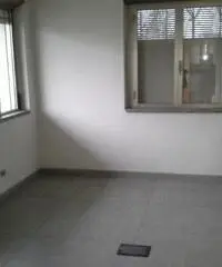 Rif: DG006 - Capannone commerciale in zona di forte passaggio Rif: DG006 - Capannone commerciale in zona di forte passaggio