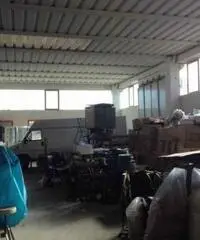 Tombelle: Affitto Capannone da 550mq