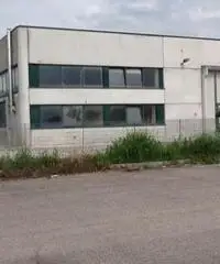 Affitto Capannone in Viale Commercio Affitto Capannone in Viale Commercio