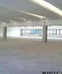 Affitto Capannone in Viale Commercio Affitto Capannone in Viale Commercio