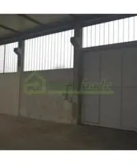 Affitto Capannone da 285mq