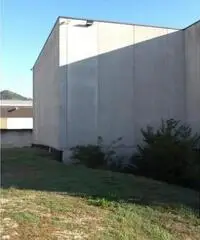 Affitto Capannone in Via del Velodromo