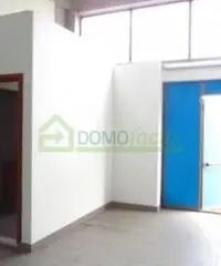 Affitto Laboratorio da 240mq con ascensore