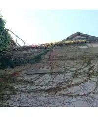 Industriale/Artigianale in vendita a Longare