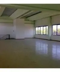 Vendita Capannone da 1315mq