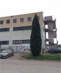 Vendita Capannone in Via dell'Agricoltura