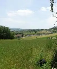 VENDESI MAGAZZINO DI MQ. 200