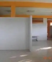 Vendita Capannone in Strada Statale Arceviese, snc Vendita Capannone in Strada Statale Arceviese, snc