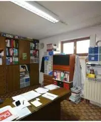 Vendita Magazzino da 919mq