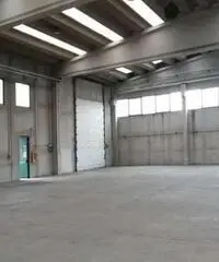 Affitto Capannone da 1000mq Affitto Capannone da 1000mq