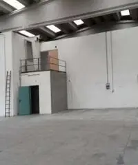 Affitto Capannone da 1000mq Affitto Capannone da 1000mq