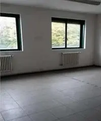 Affitto Capannone da 1000mq Affitto Capannone da 1000mq