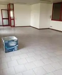 Vendita Capannone da 660mq