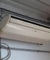 Vendita capannone mq. 220 - Molinella